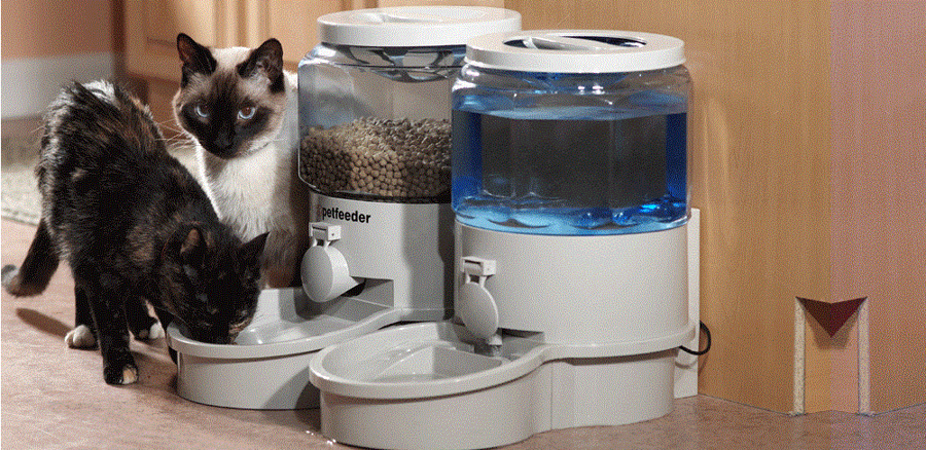 Dispenser cibo per gatti: quali sono i migliori in circolazione?
